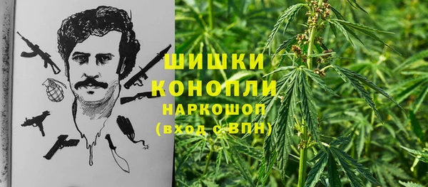 соль ск Сатка
