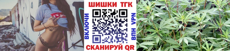 как найти закладки  Борзя  Бошки марихуана SATIVA & INDICA 